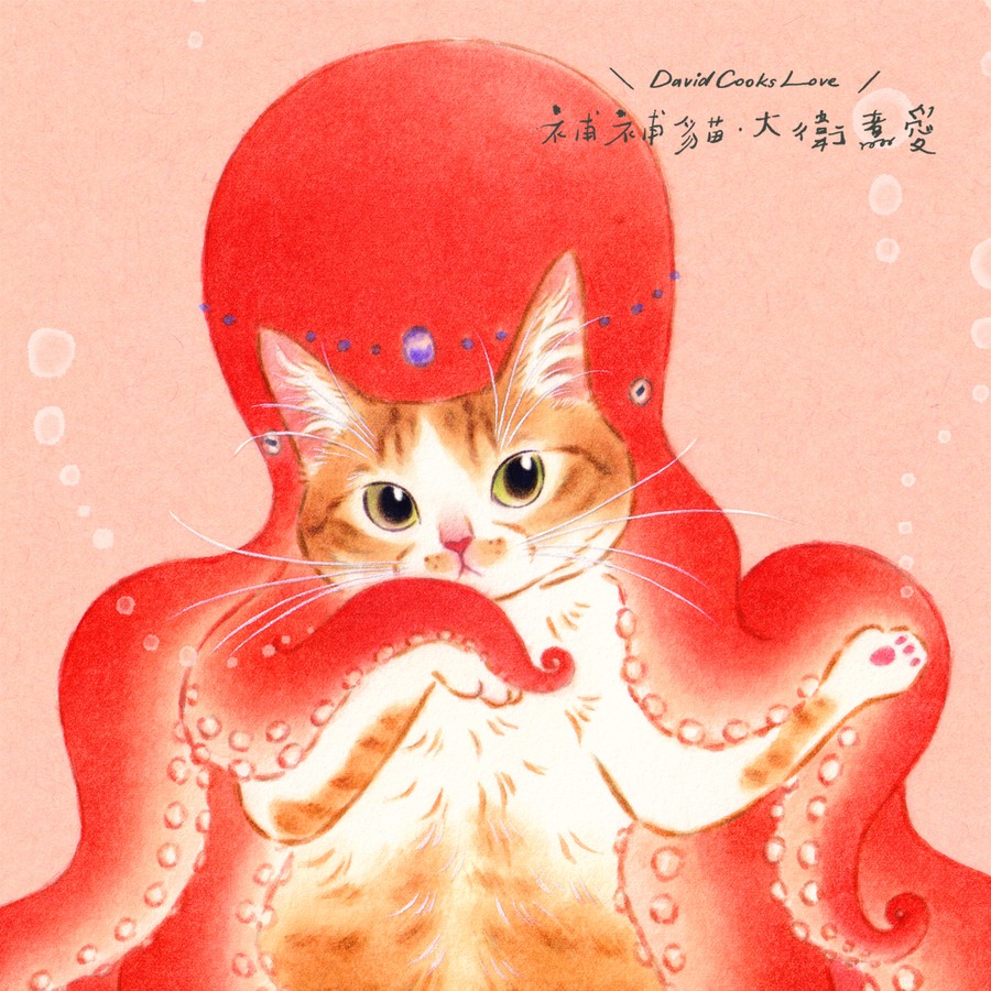 補補貓・大衛煮愛 BuBuCat・DavidCooksLove